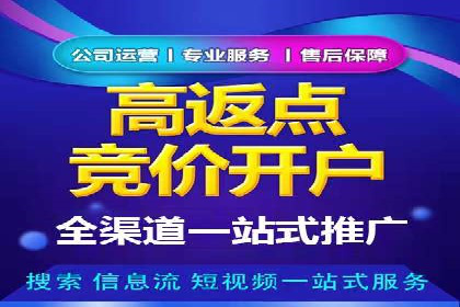 网络推广中竞价广告的投放策略及成功案例